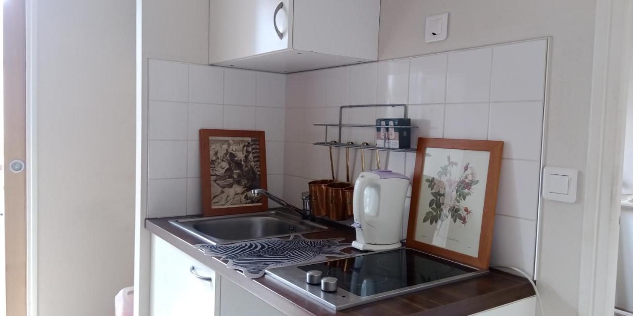 Paris Authentic House Small, Bright And Calm Studio Buitenkant foto